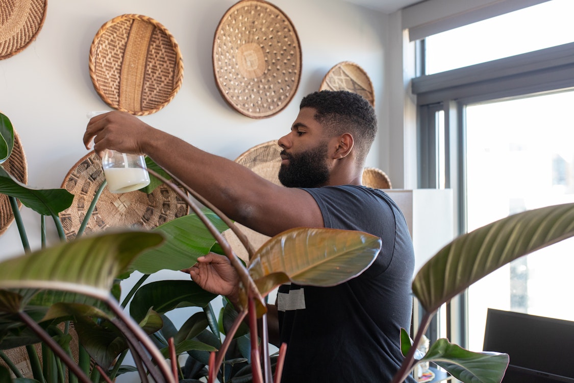 Man tending to lush indoor plants in a bright, peaceful space with woven wall baskets